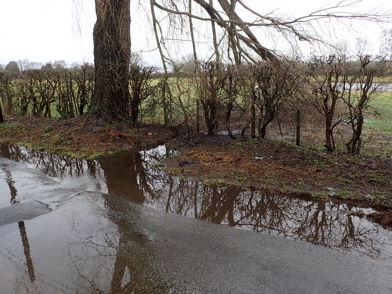 Water from gulley running into adjacent field