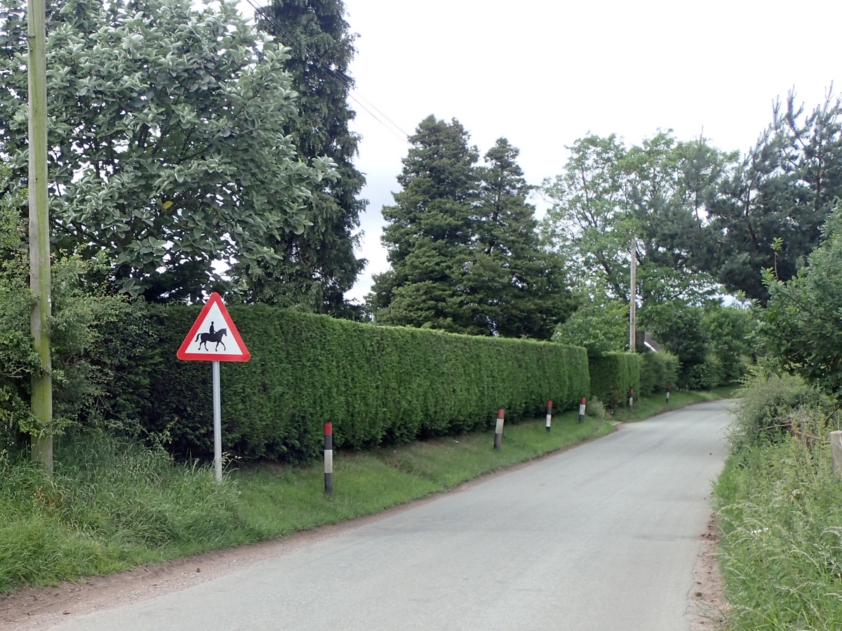 Horse-riding sign on Bridgemere Lane. There are rules about where some signs can be placed.