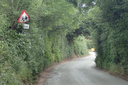 What's wrong with this? Sign buried in hedgerow.